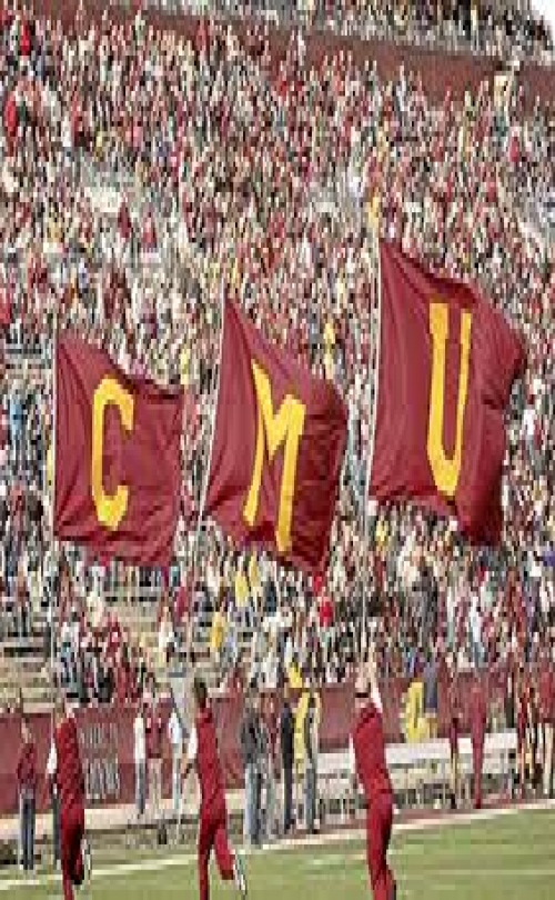 MSM Group - Central Michigan University